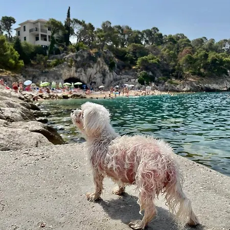 Ita Pet Friendly * Makarska