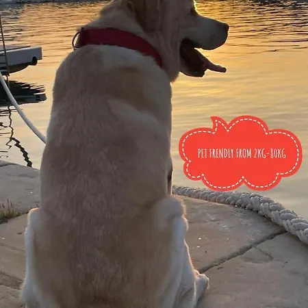 Ita Pet Friendly Apartman