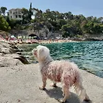 Ita Pet Friendly * マカルスカ