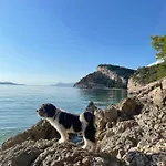 アパート Ita Pet Friendly