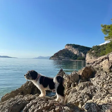 公寓 Ita Pet Friendly