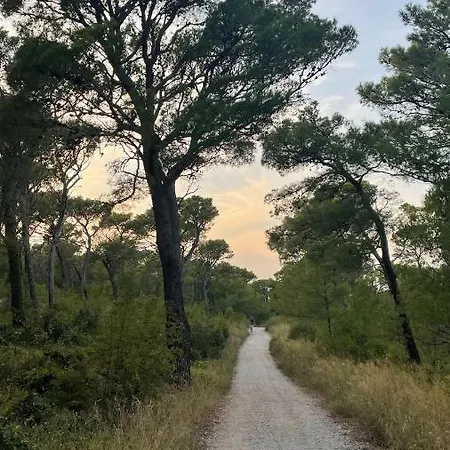 아파트 Ita Pet Friendly *