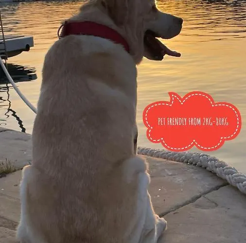 Ita Pet Friendly Daire