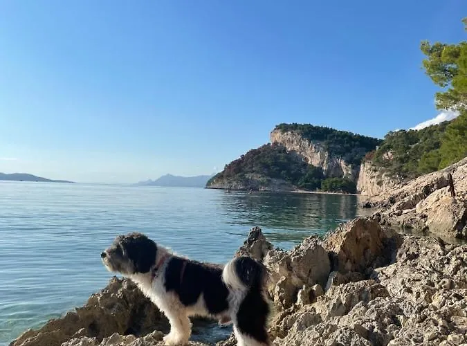 Daire Ita Pet Friendly