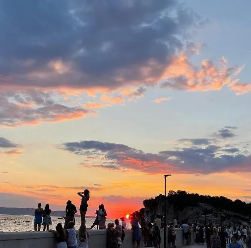 Daire Ita Pet Friendly