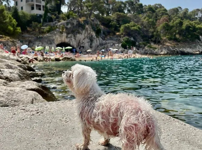 Ita Pet Friendly * Makarska