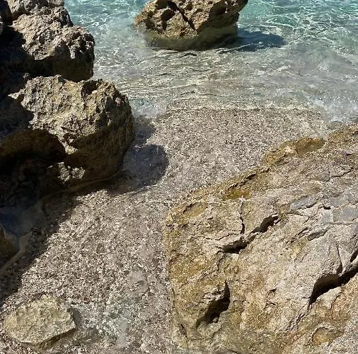 Ita Pet Friendly Lejlighed *